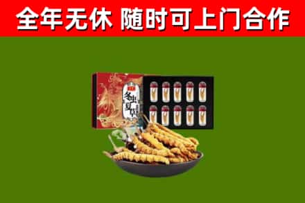 武清区回收冬虫夏草价格